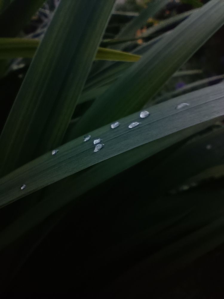 Фотография автора OXANA MARSOVA