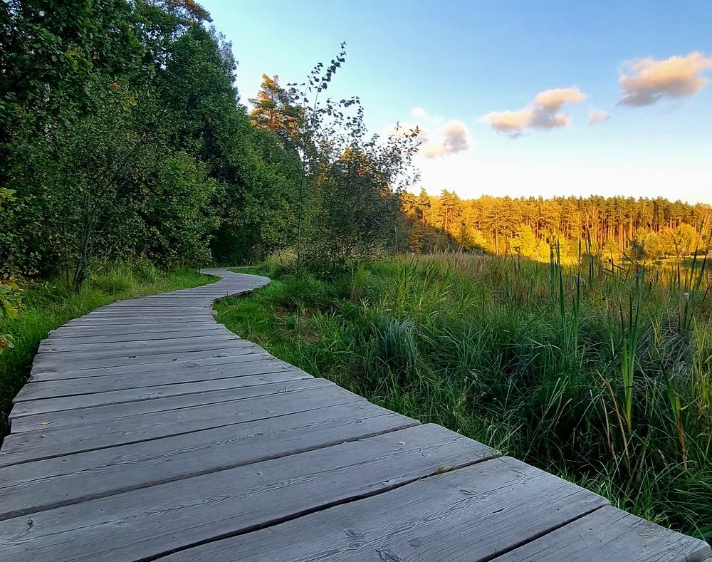 Photograph by Юрий Викторович