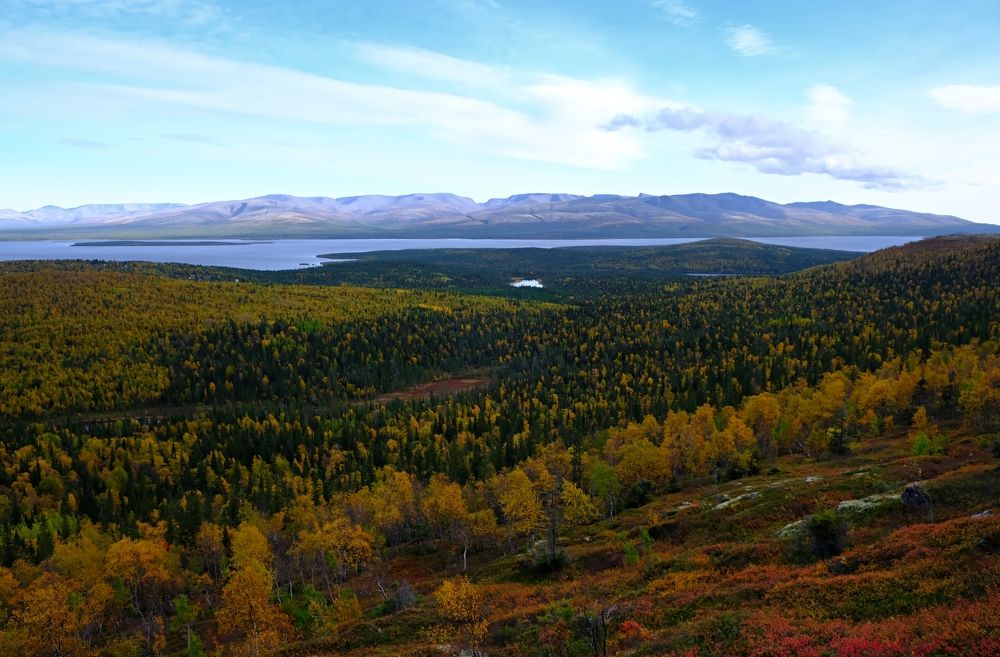 Photograph by Татьяна Глебова