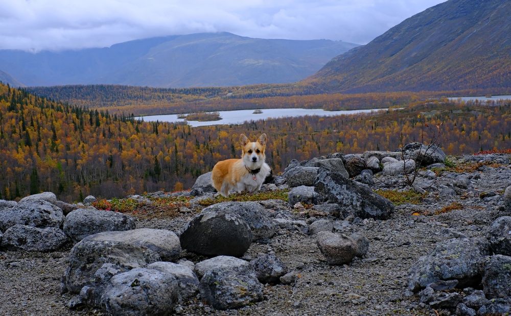 Photograph by Татьяна Глебова
