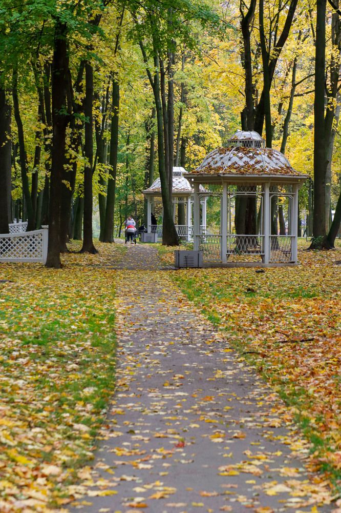 Photograph by Sergei Paramonov