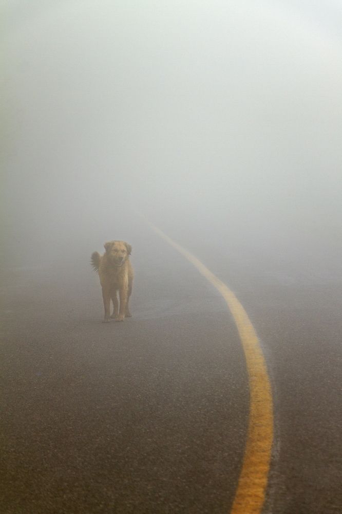 Photograph by Sharife Aliabadi