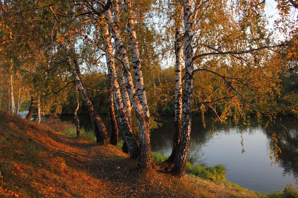Фотография автора Кухта Мария