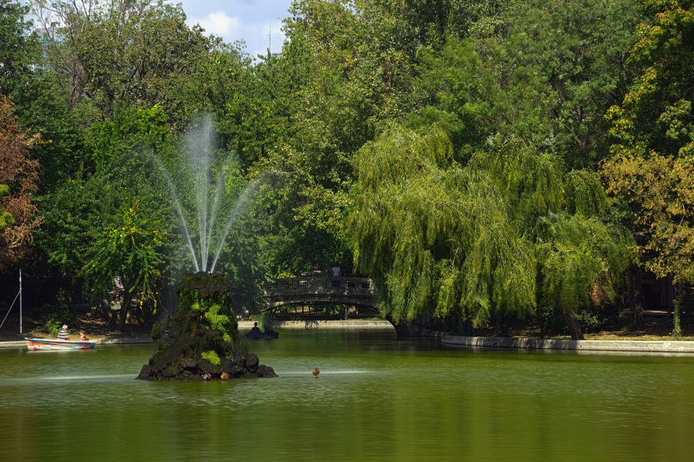 Photograph by Cojanu Silviu