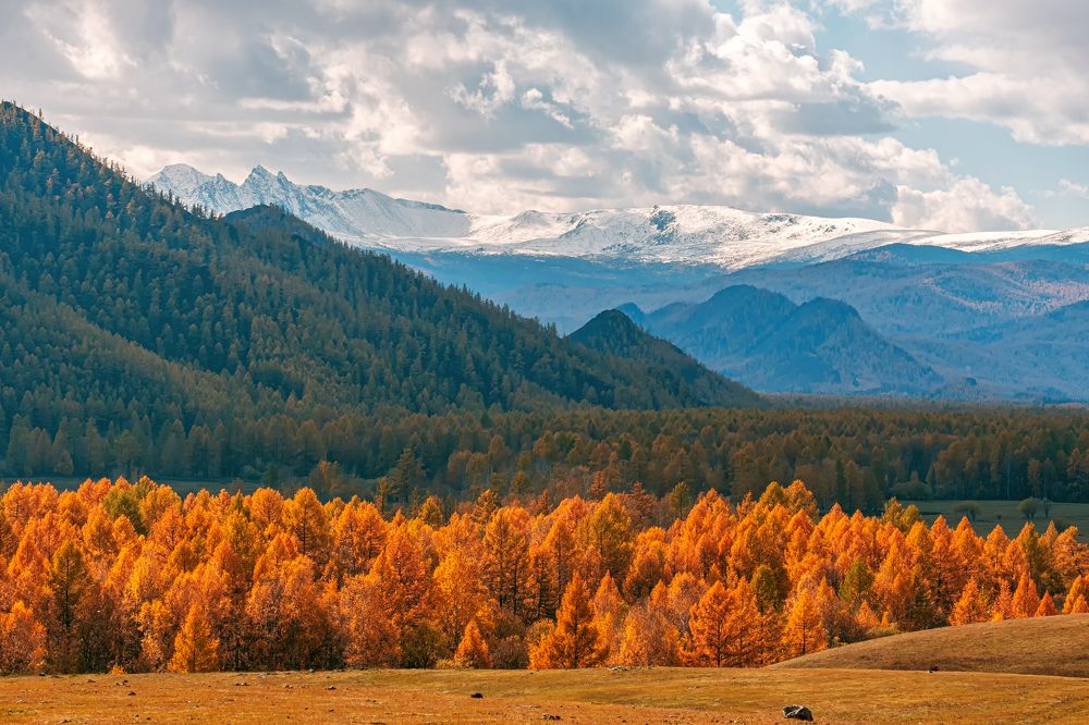 Photograph by Евгений Соколов