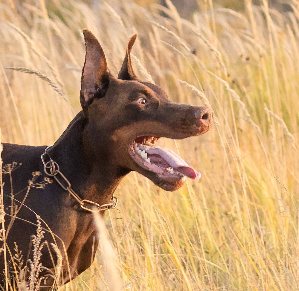 Photograph by Виктория Мамаева