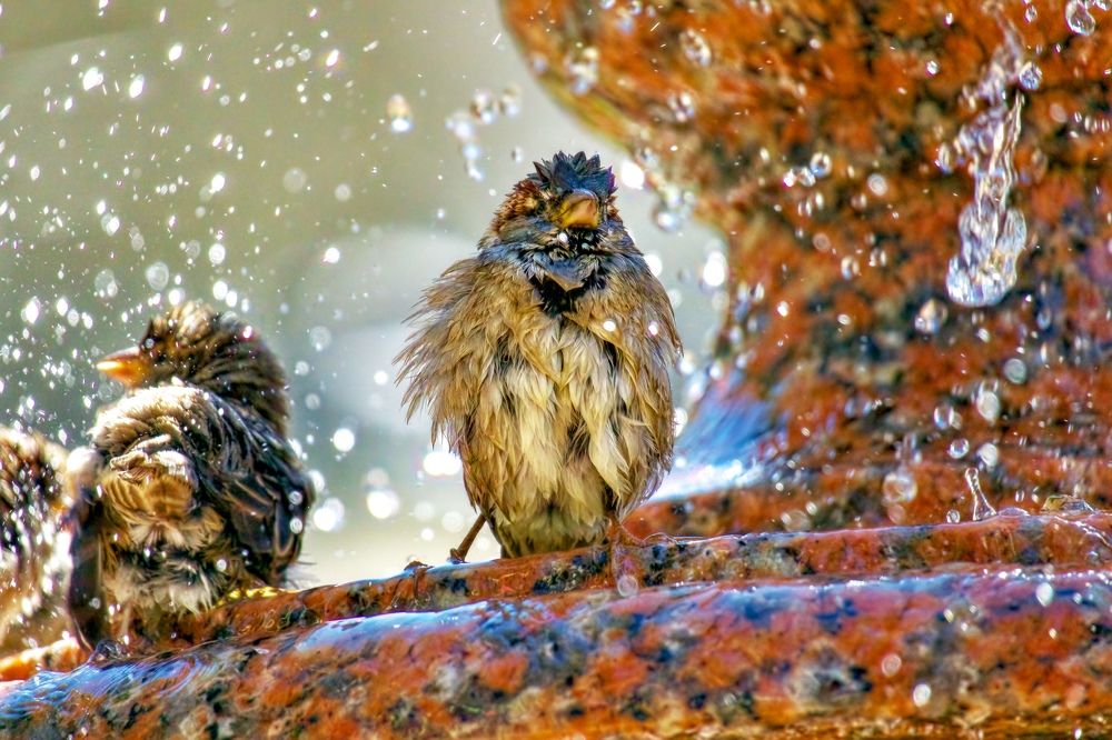 Photograph by Рахманин Михаил