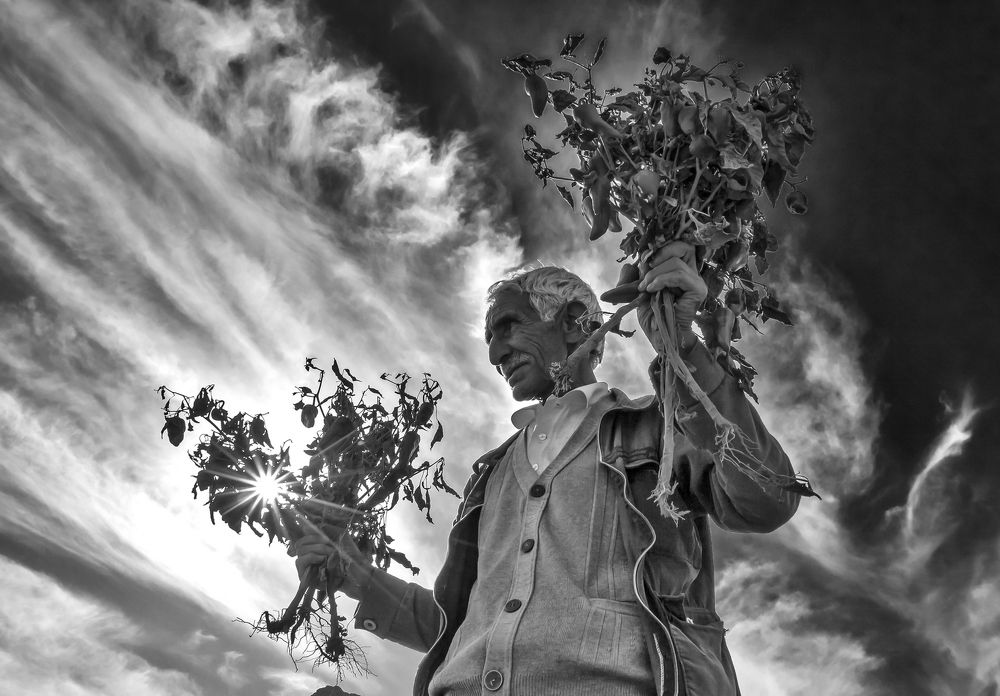 Photograph by Sharife Aliabadi