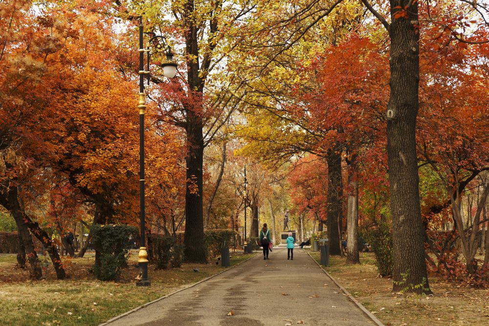 Photograph by Баймухамедов Аскар