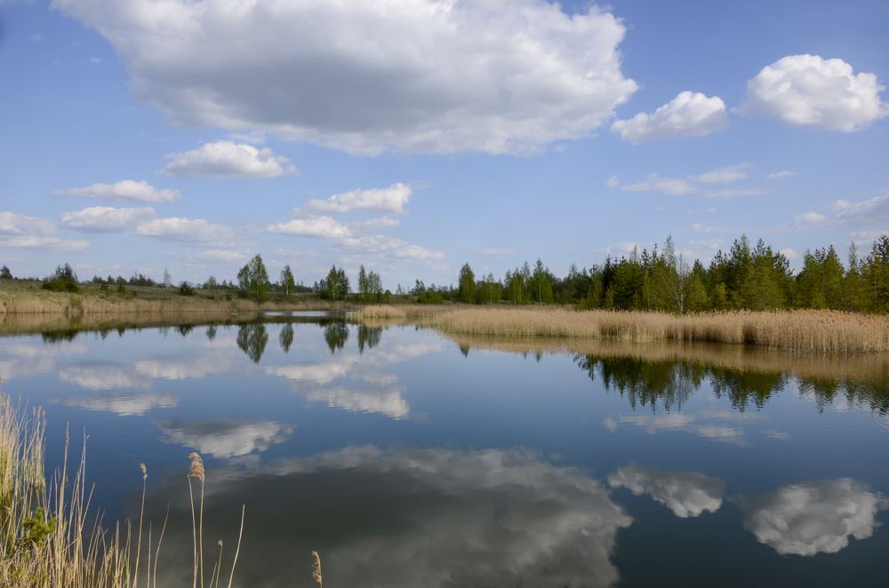 Photograph by Николай Соколовский