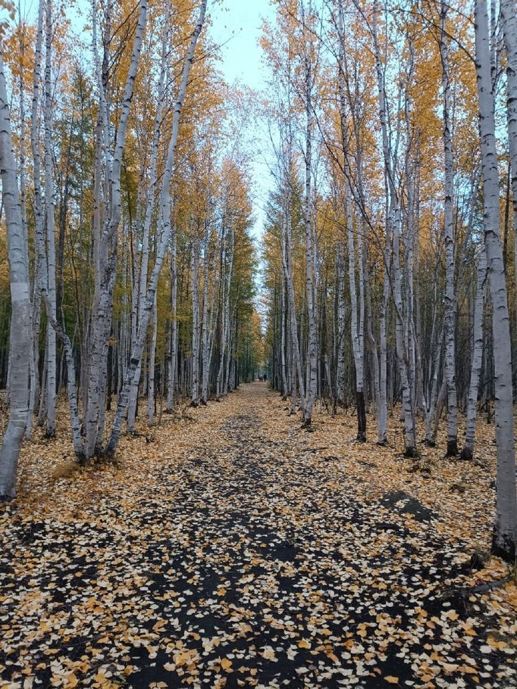 Photograph by Оксана Подъельская