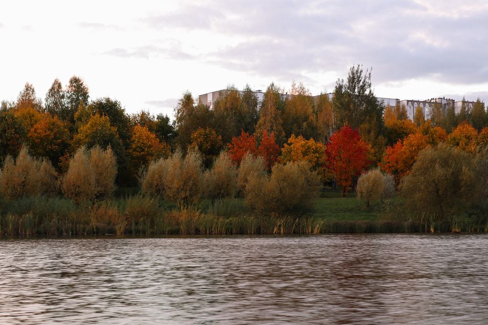 Photograph by Evgenia Korchagova