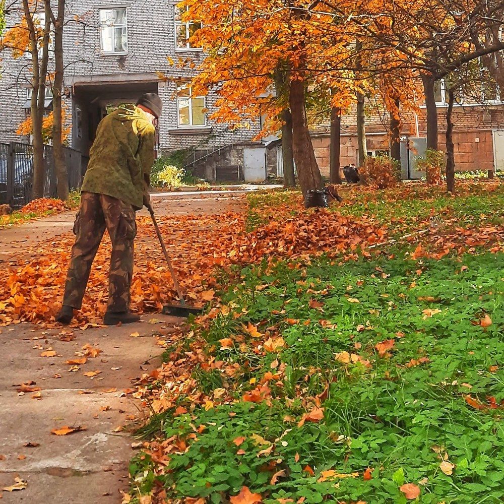 Photograph by Игорь