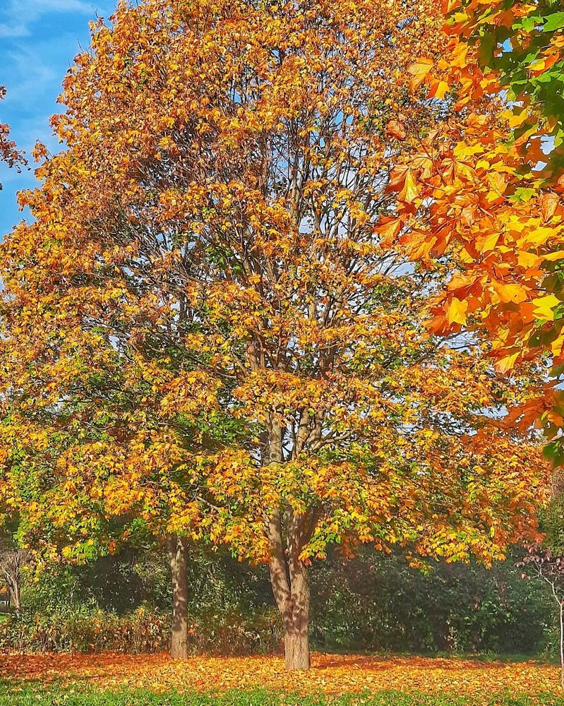 Photograph by Игорь