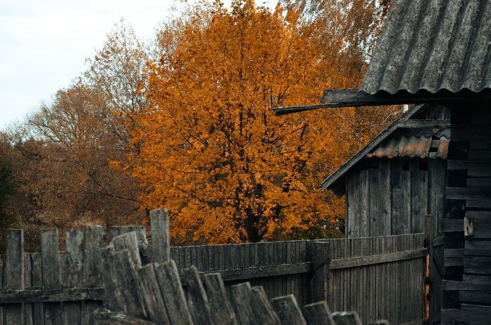 Photograph by Вероника Матиевская