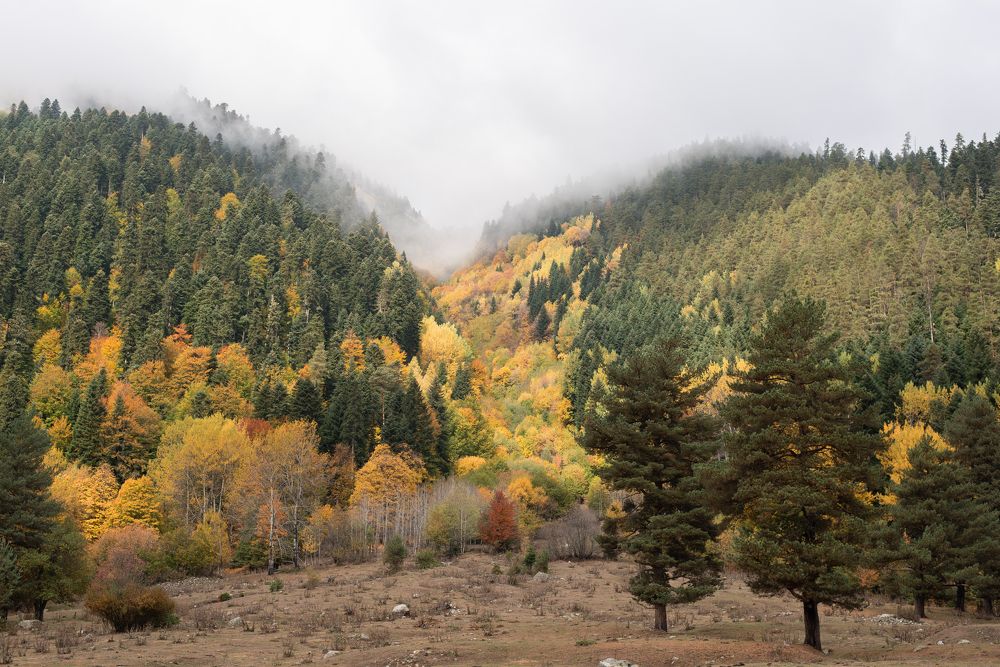 Photograph by Оксана Смирнова