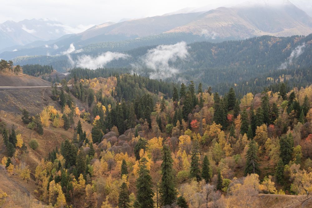 Photograph by Оксана Смирнова