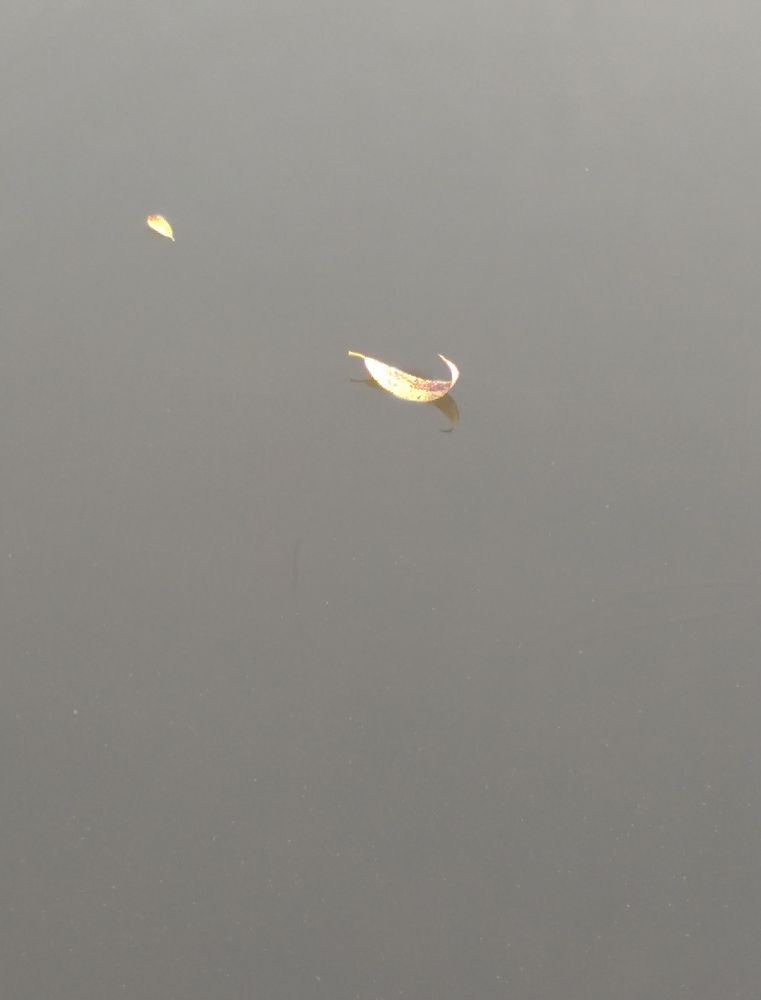 Photograph by Елена Коробченко