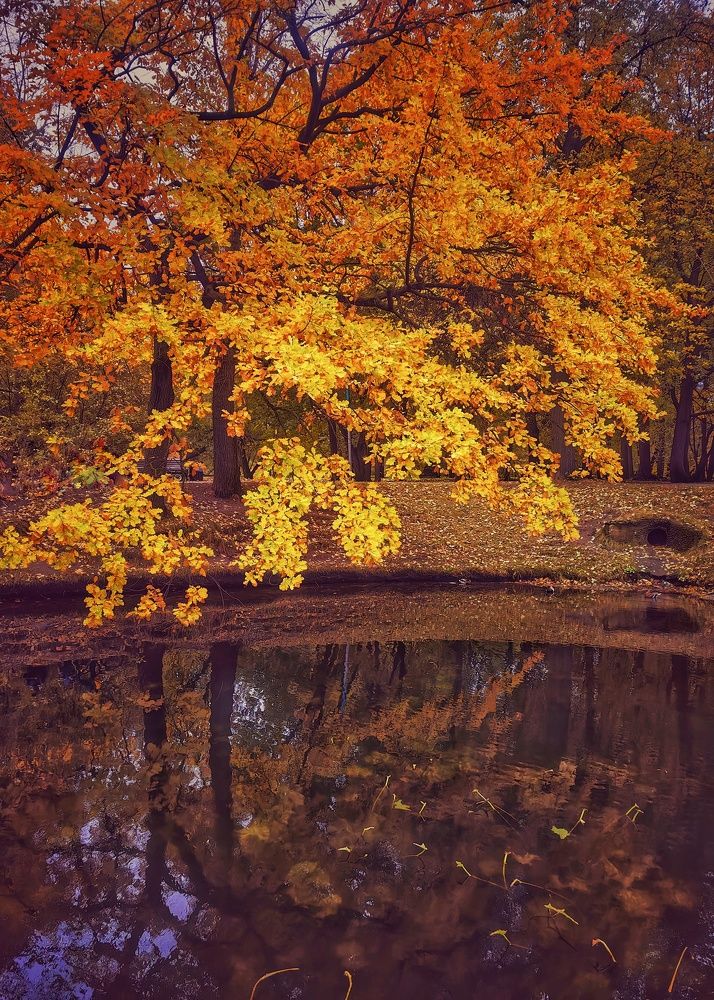 Photograph by Ekaterina Fadeeva