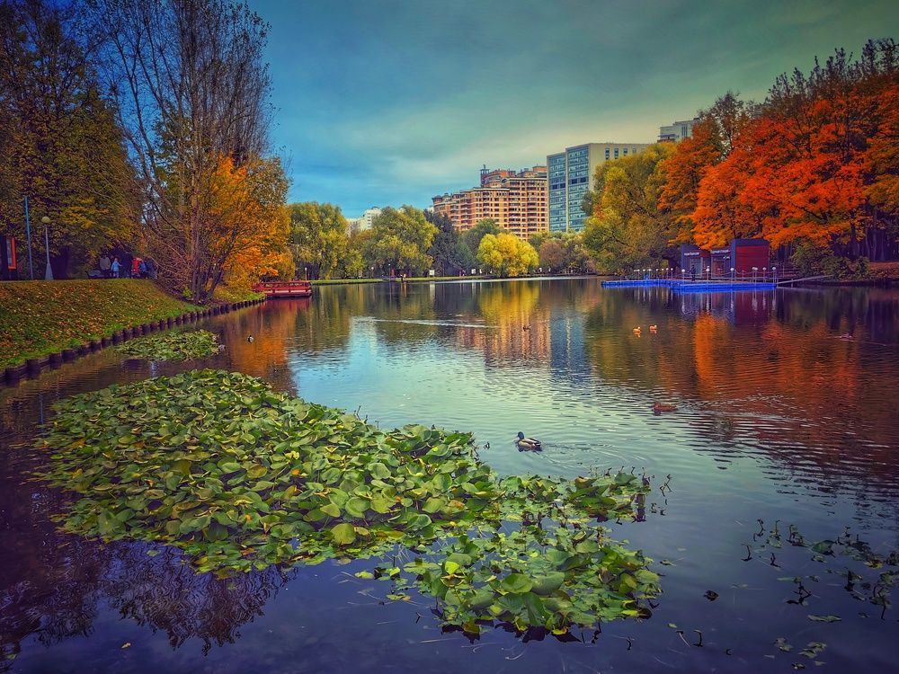 Photograph by Ekaterina Fadeeva