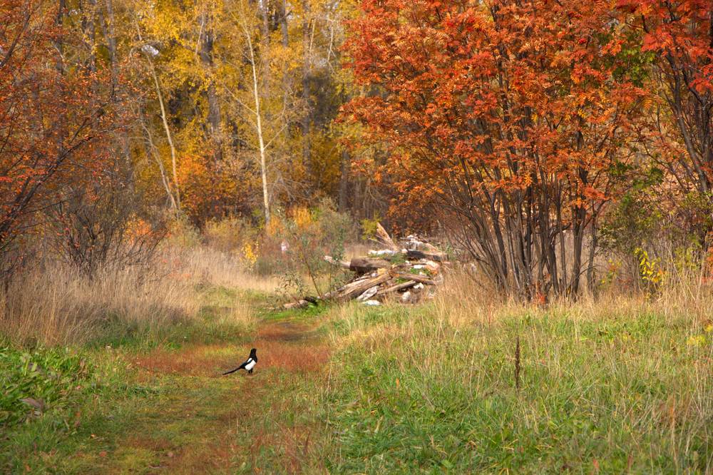 Photograph by Ирина Вассерлауф