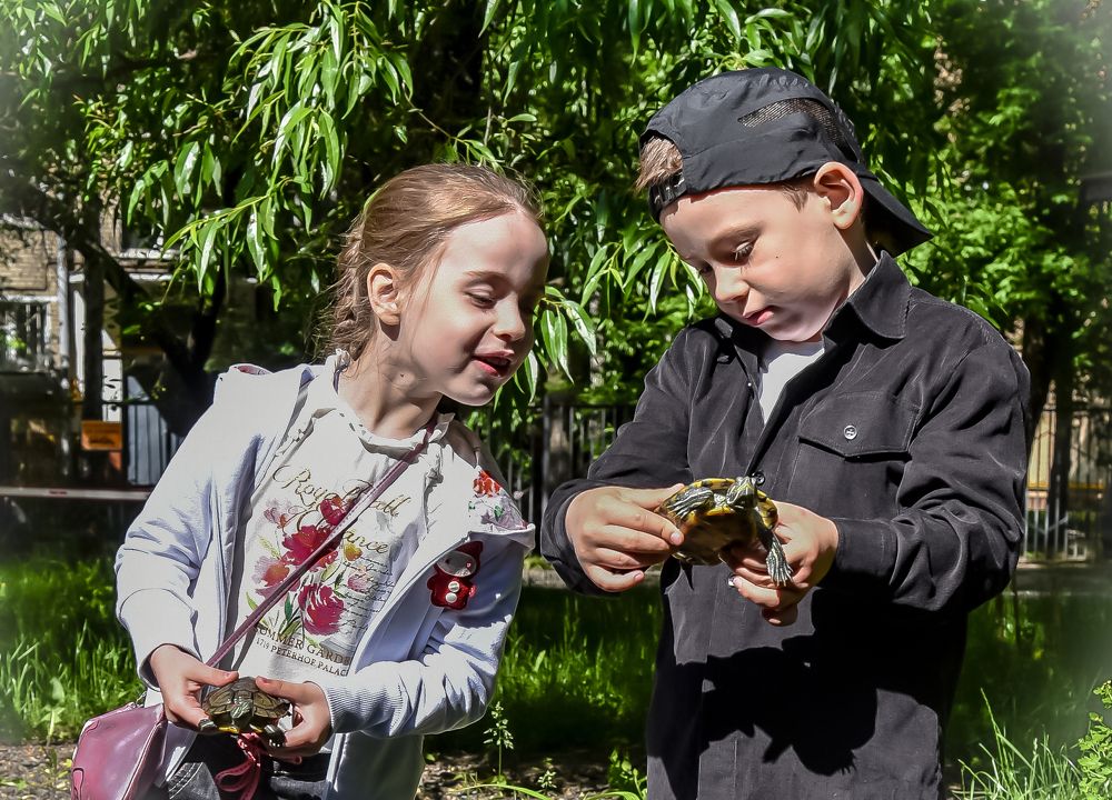 Photograph by Владимир Vladimir