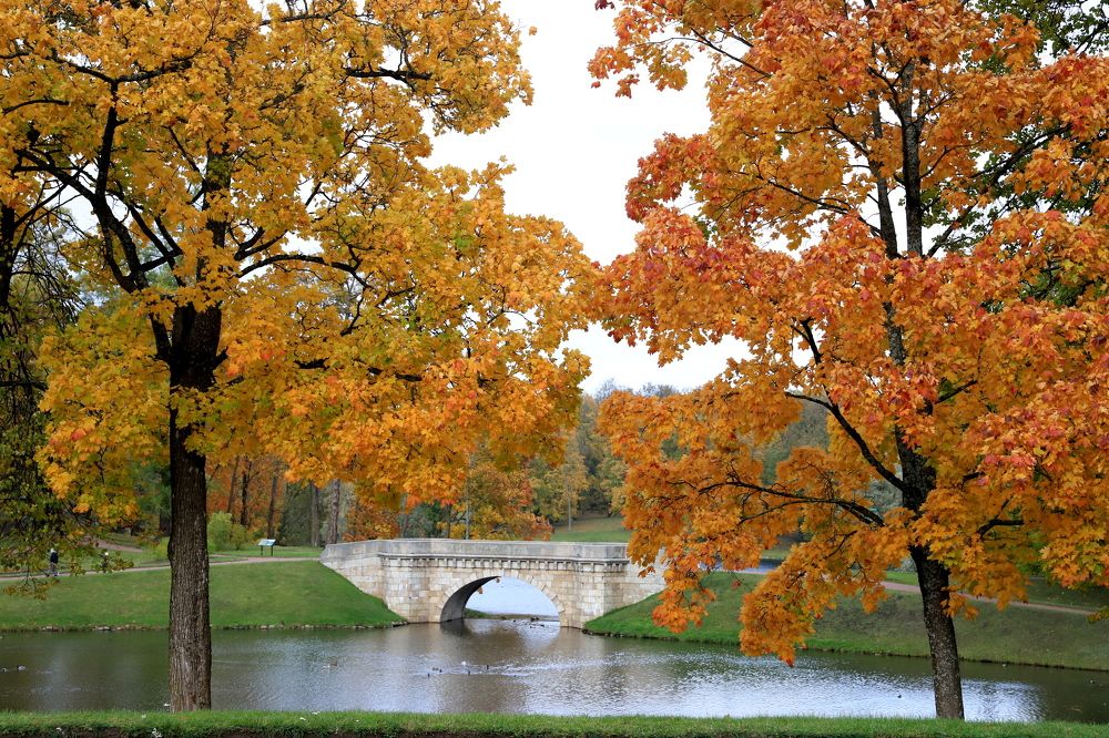 Photograph by елена