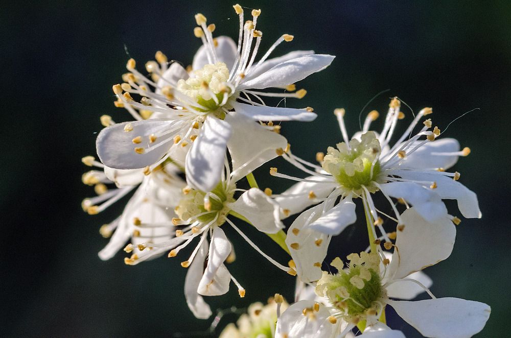 Photograph by Анастасия Глазюк