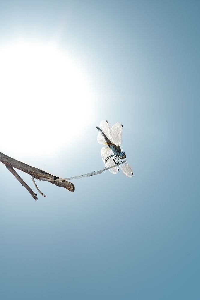 Photograph by Екатерина Золотых