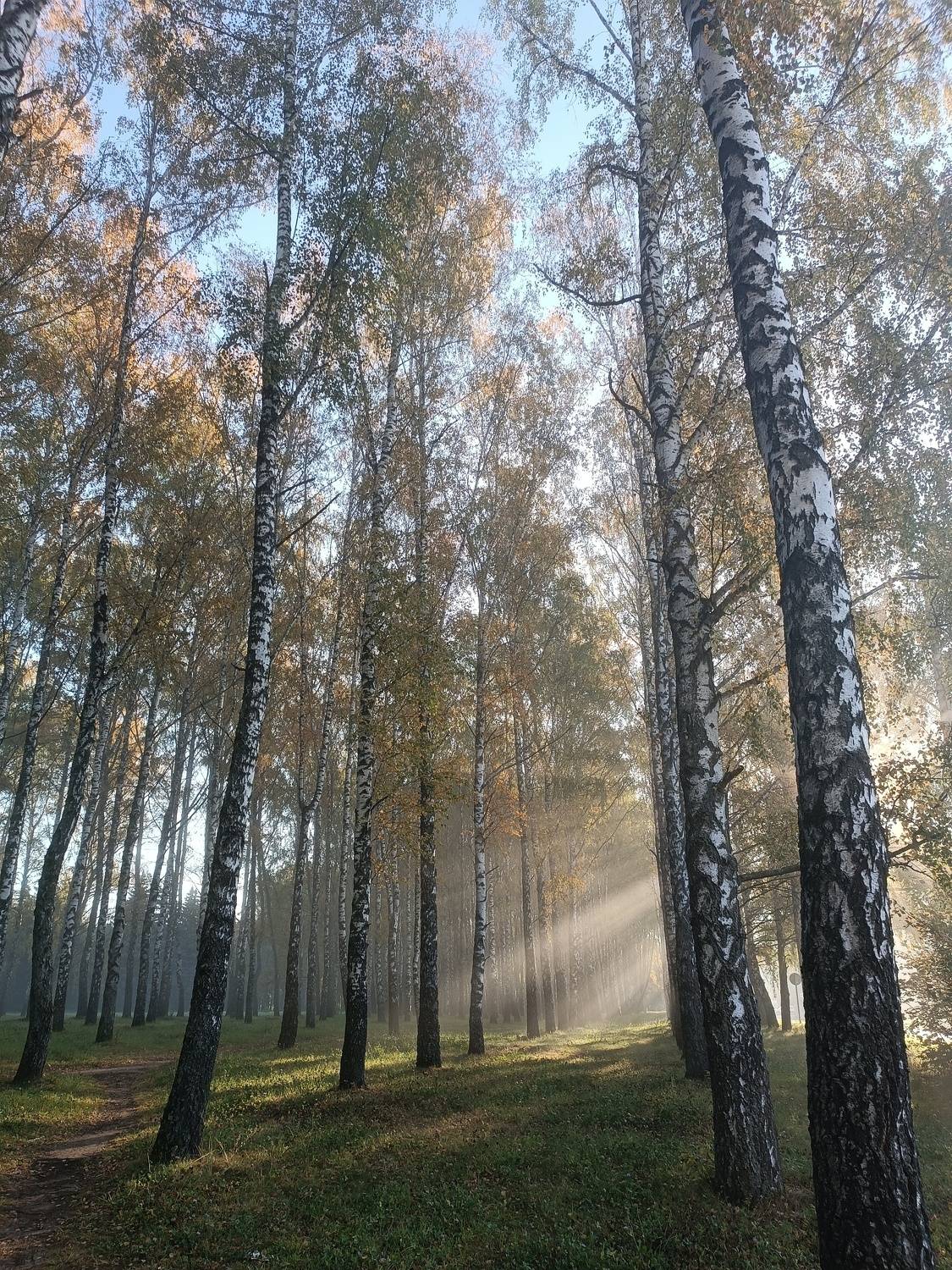 Photo #9686554