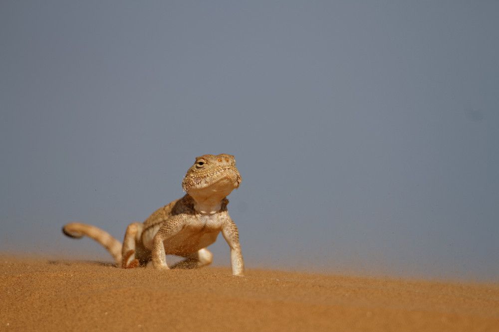 Photograph by Мария Заболотная