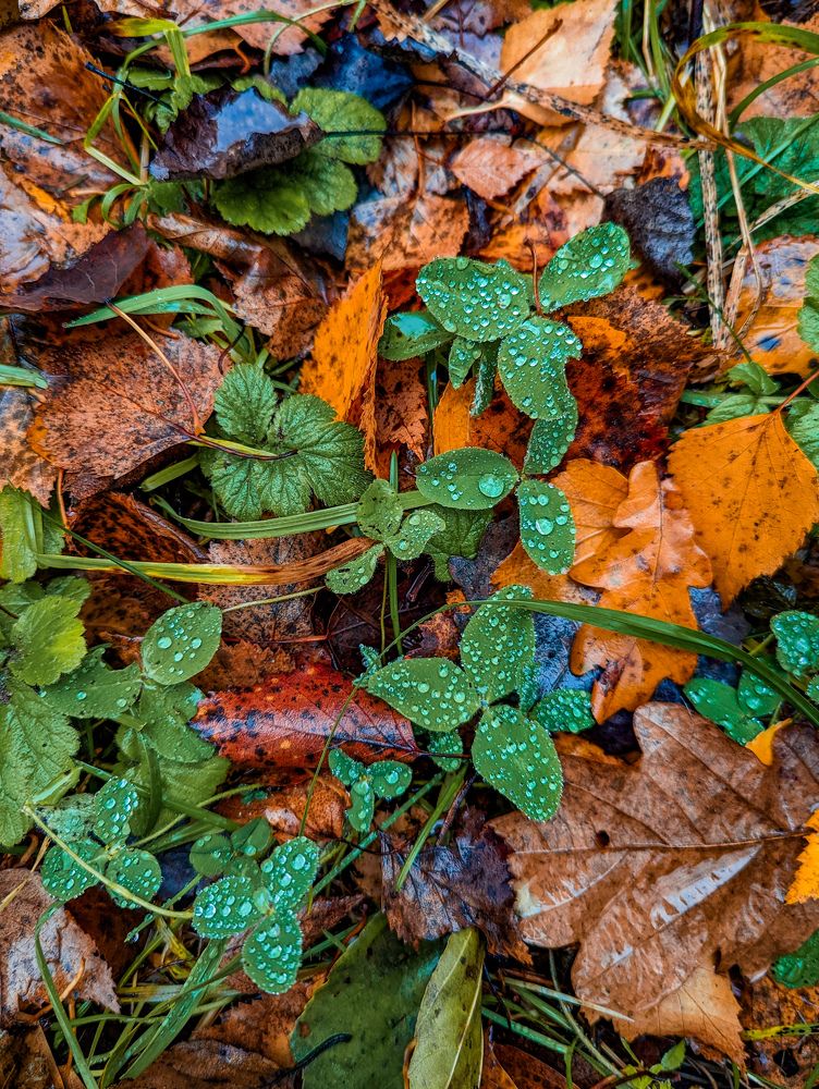 Photograph by Елизавета Коровина