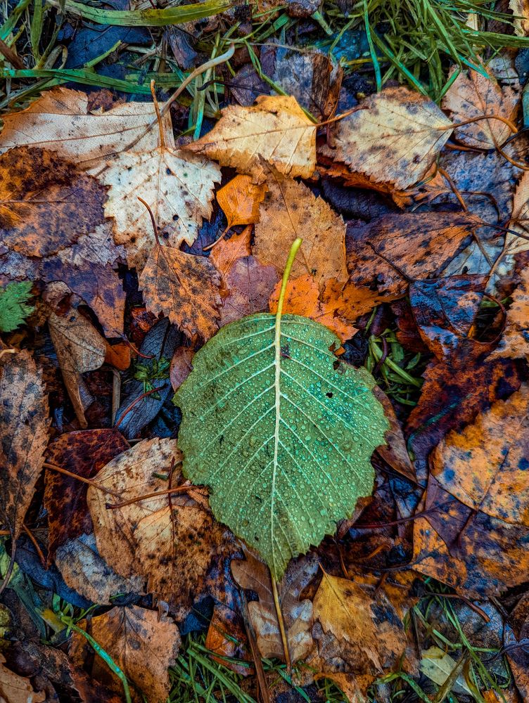 Photograph by Елизавета Коровина