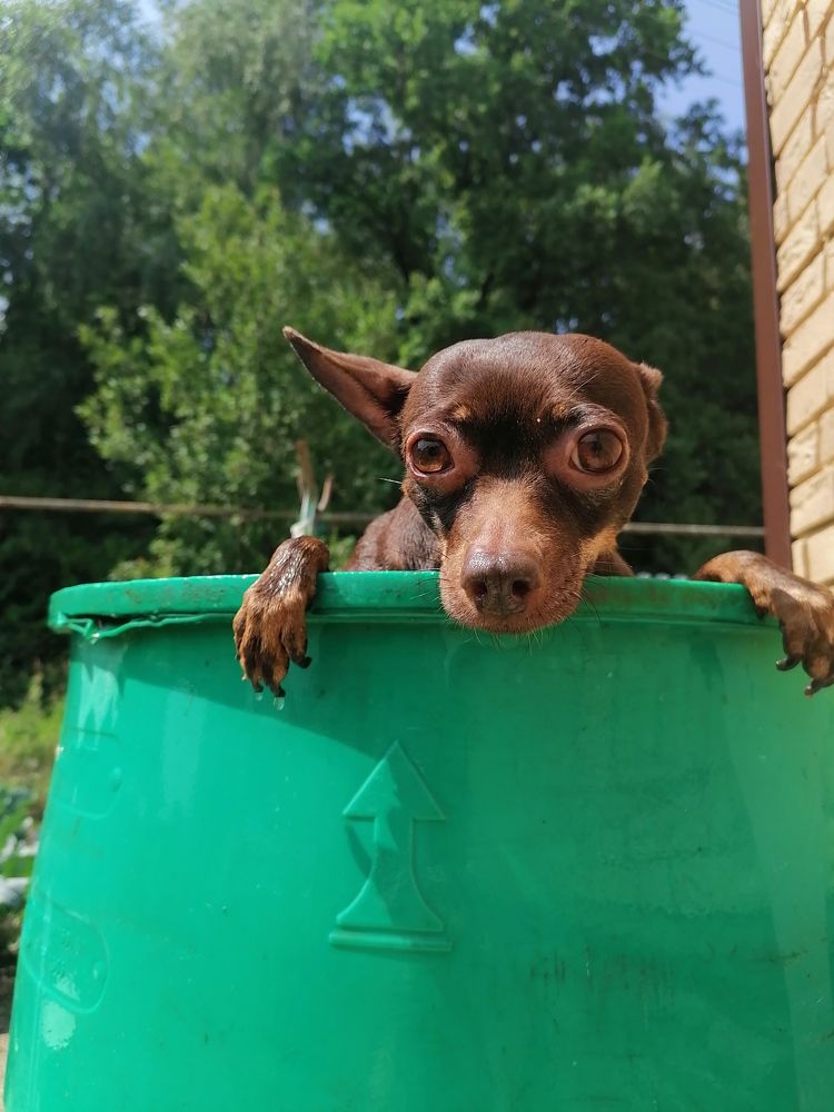 Photograph by Станислав Евсеев