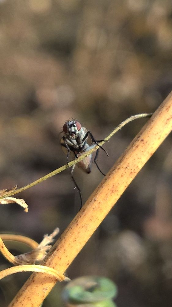 Photograph by Олеся Купча