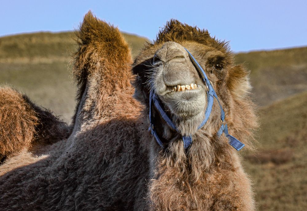 Photograph by Инна Гаджиева