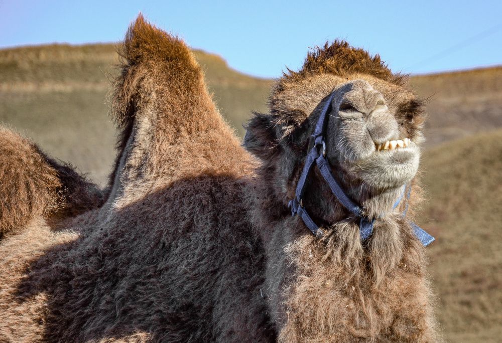 Photograph by Инна Гаджиева