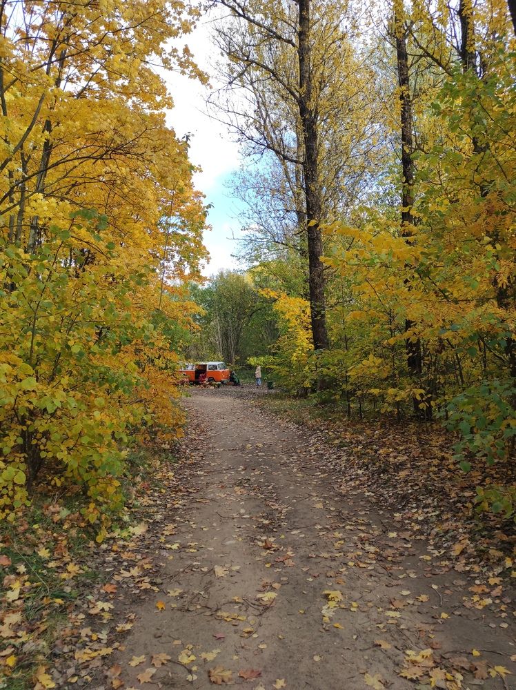 Фотография автора Елена Драко