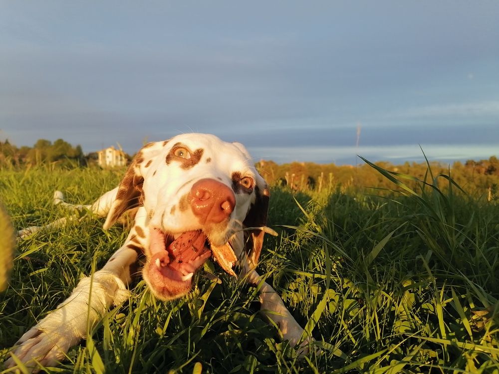 Photograph by Станислав Евсеев