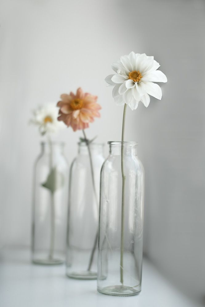 Photograph by Евгения Баширова