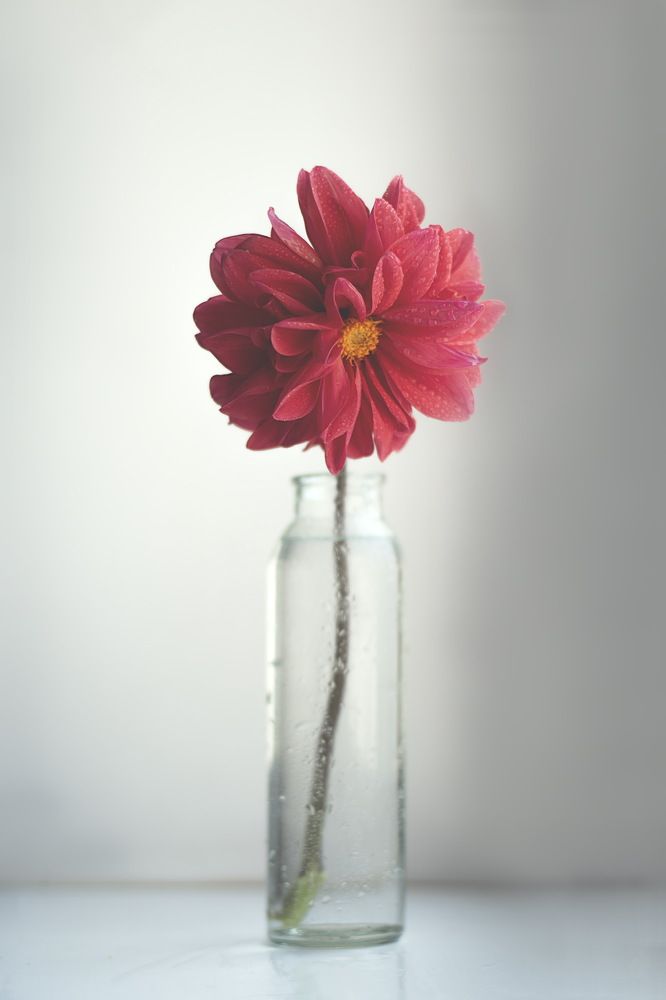 Photograph by Евгения Баширова