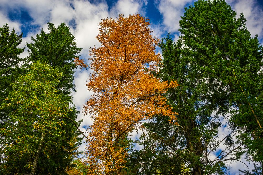 Photograph by Артём Александрович