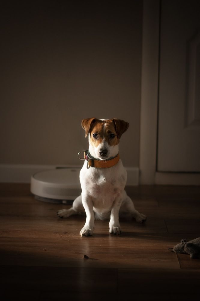 Photograph by Евгения Баширова