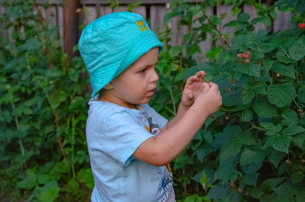 Photograph by Анна Александровна