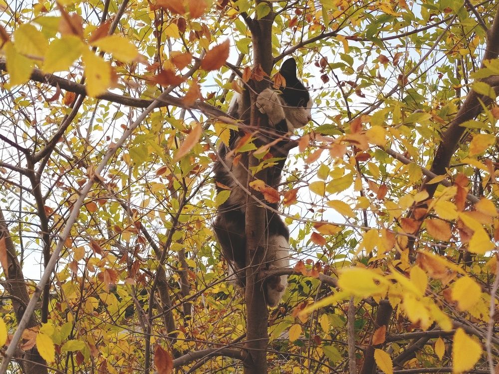 Фотография автора Ola La