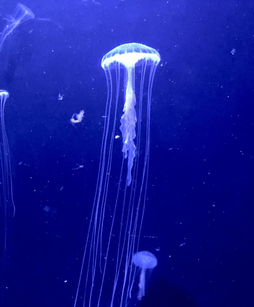 Photograph by Наталья Дмитриева