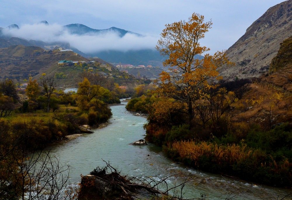 Photograph by Инна Гаджиева