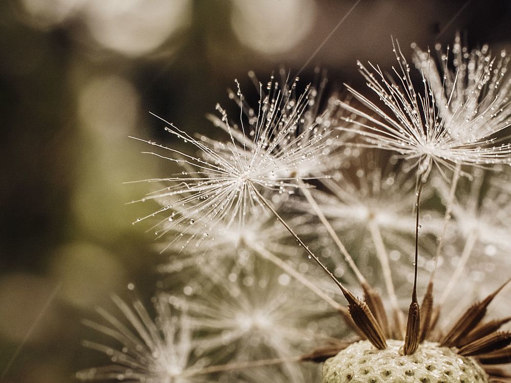 Photograph by Rogozina Olga