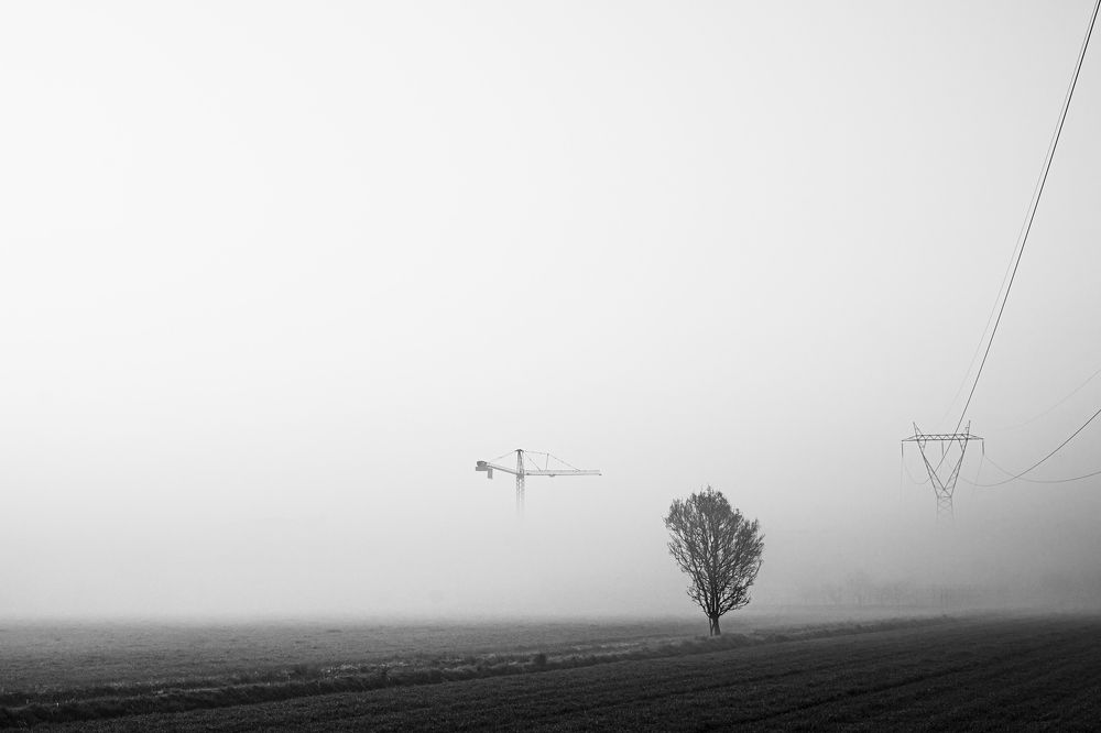 Photograph by damiano pignatti