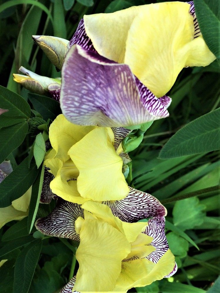 Photograph by Галина